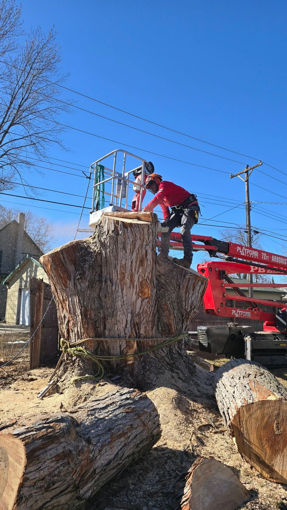 Skid steer and cut logs during cleanup